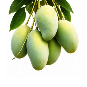 আম্রপালি আম